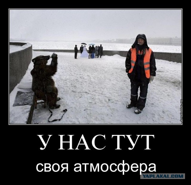 Атмосферные демотиваторы
