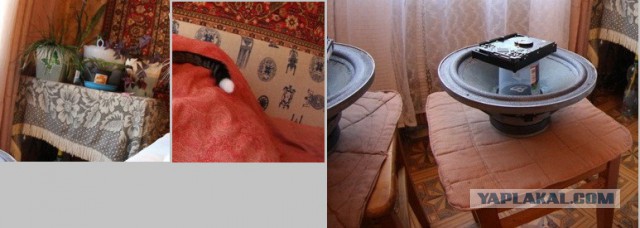 Как я колонки чинил