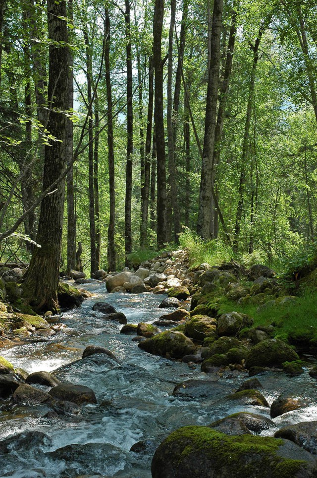 Деревенская Америка