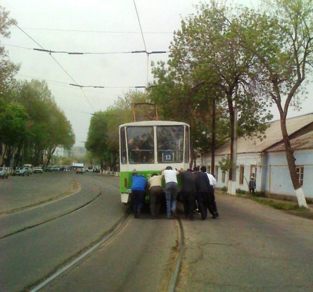 Страна белых Нексий