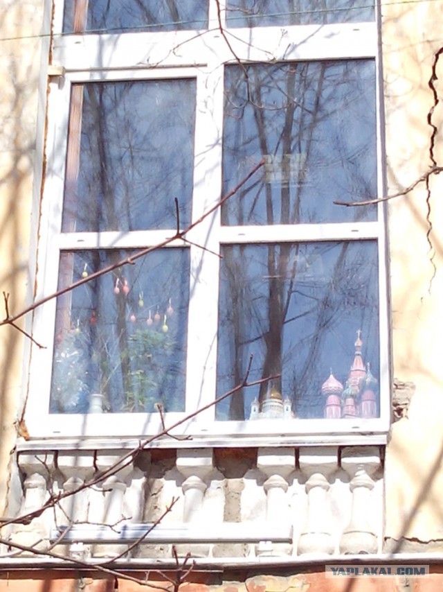 Миграция московского планктона
