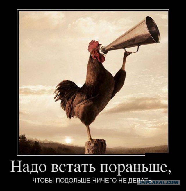 Весёлости