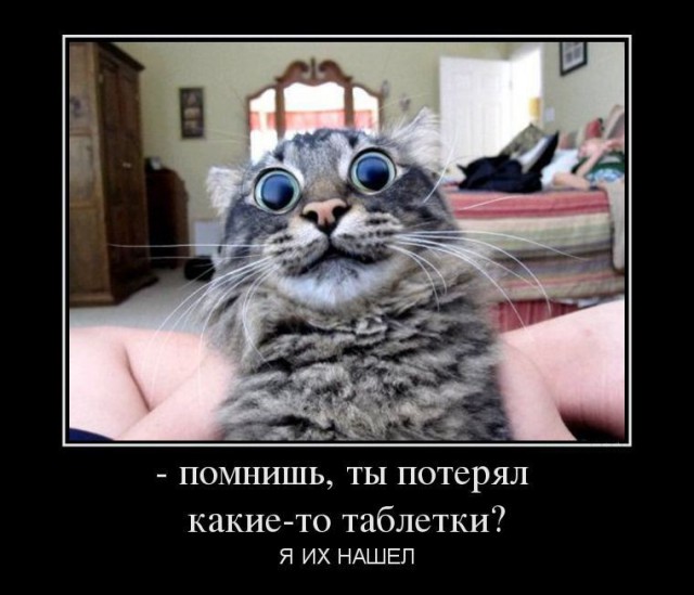 Когда плаваешь и что-то задевает твою ногу