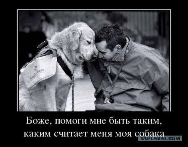 Чем занимаются дети в соцсетях?