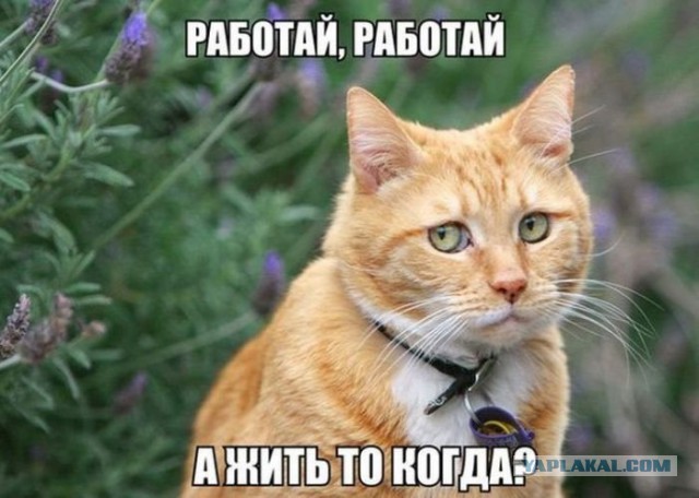 Картинки смешные и несмешные