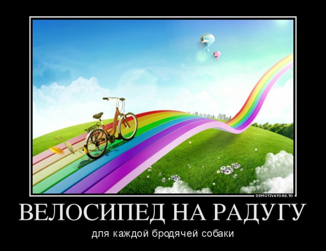Нападение бродячих собак в Перми