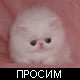 Авторские аватары для яповцев