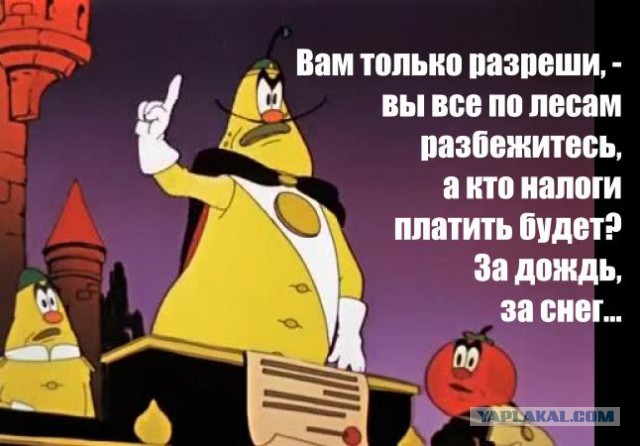 Отшельника, построившего крутую мазанку собственными руками, выгнали из леса