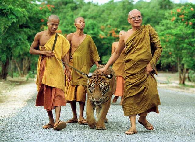 Интересные и веселые картинки