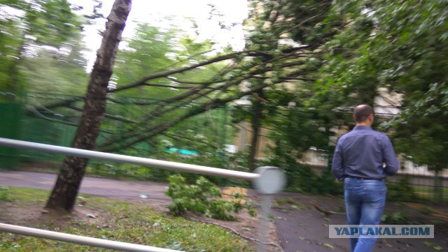 Сильная гроза в Москве и ее последствия
