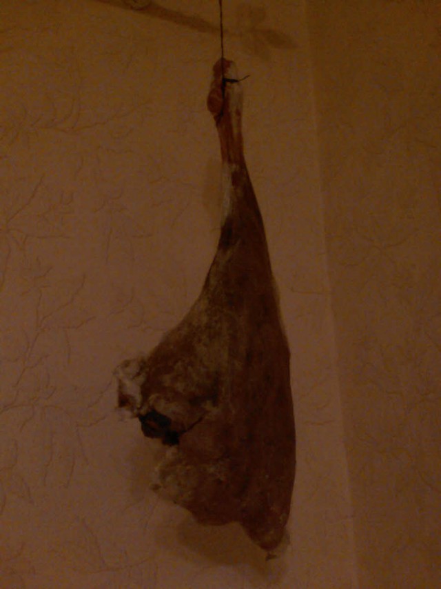 Колбасный FAQ. Делимся опытом, задаем вопросы, обсуждаем технологии.