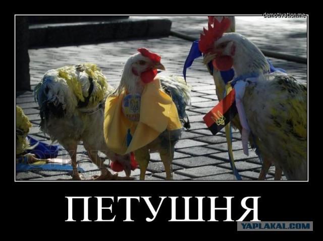 Гражданский корпус «Азов» в Мариуполе уничтожил сепаратистские шарики.