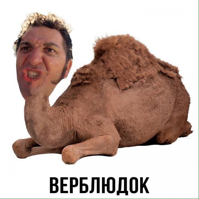Парубий: Украина всех спасёт