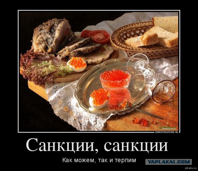 Песков подтвердил готовность россиян «есть снег» в условиях санкций