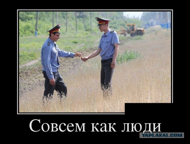 Баяны в чёрных рамках