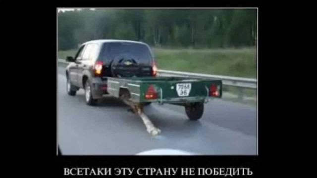 Подборка безудержного веселья