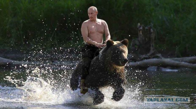 Лучшие фейковые фотографии, наделавшие много шума
