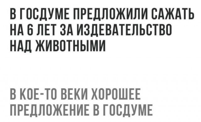 Подборка интересных и веселых картинок