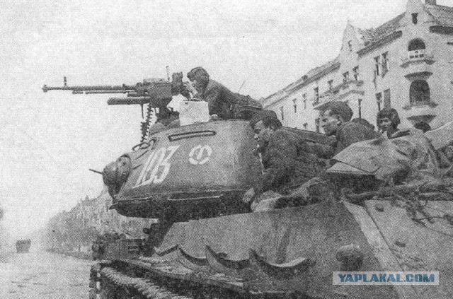 Разящий меч: как советская пехота училась воевать