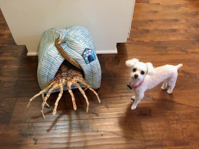 Подборка интересных и веселых картинок