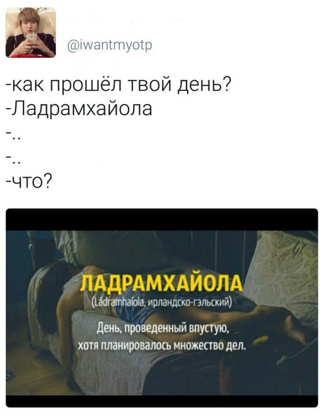 Смешные комментарии из социальных сетей 11.08.2017