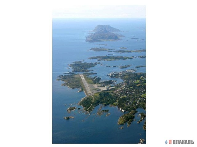 Это ж как они туда попадают?!