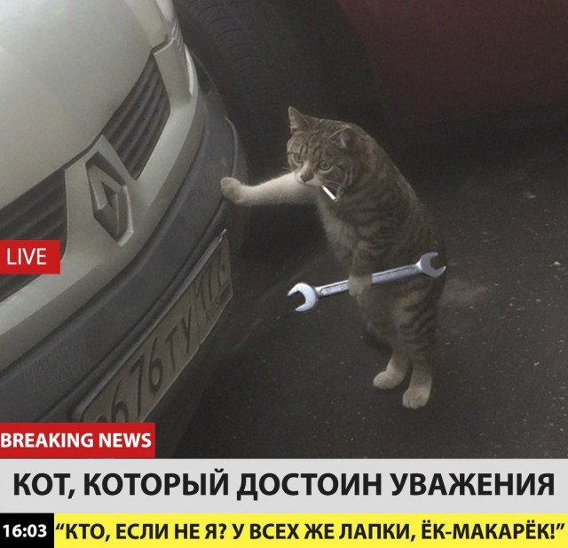 Подсобирал немного картинок .... местами с юмором