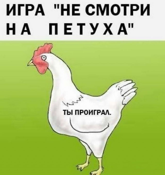 Картинки 146% баяны