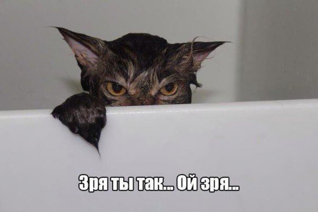 Картинки по-приколу