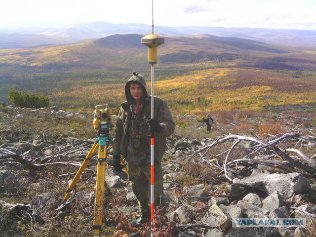 Командировка. В леса