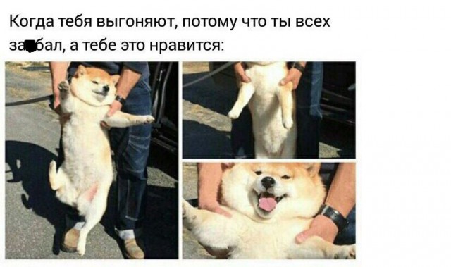 Как сыпется "Патриот" после двух месяцев эксплуатации