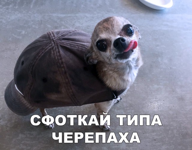 Нестандартный юмор