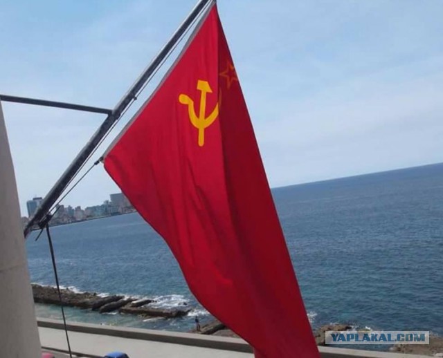 Против чего протестуют французы