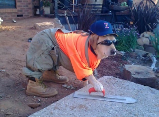 Все готово, Насяльника