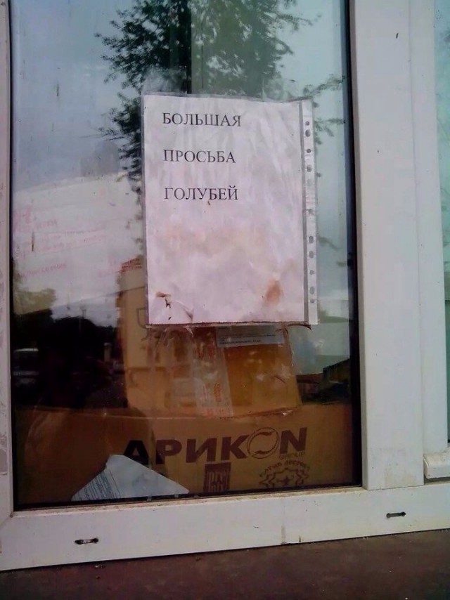 Прикольные надписи и объявления