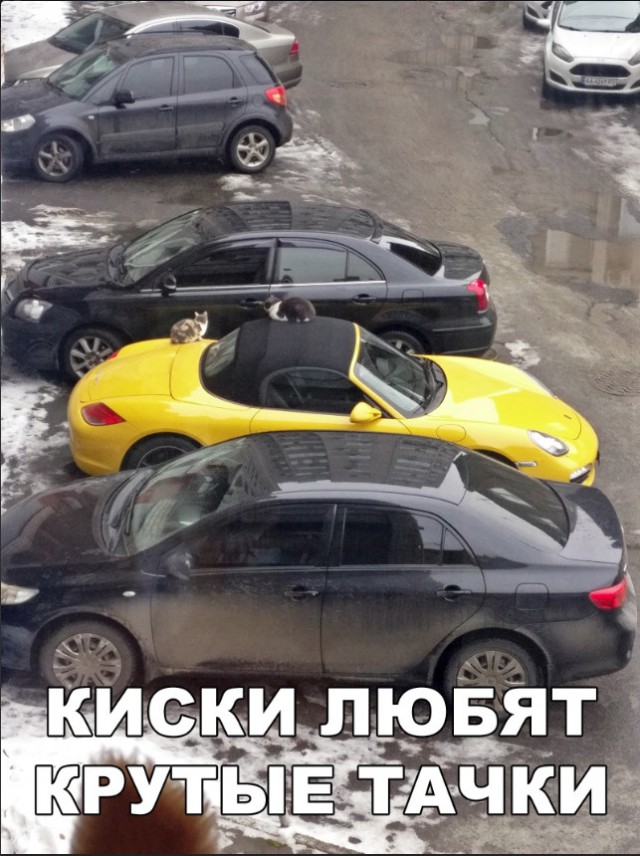 Нестандартный юмор
