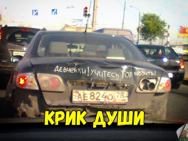 Прикольные картинки абавсём