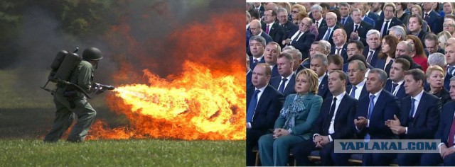 Налимы