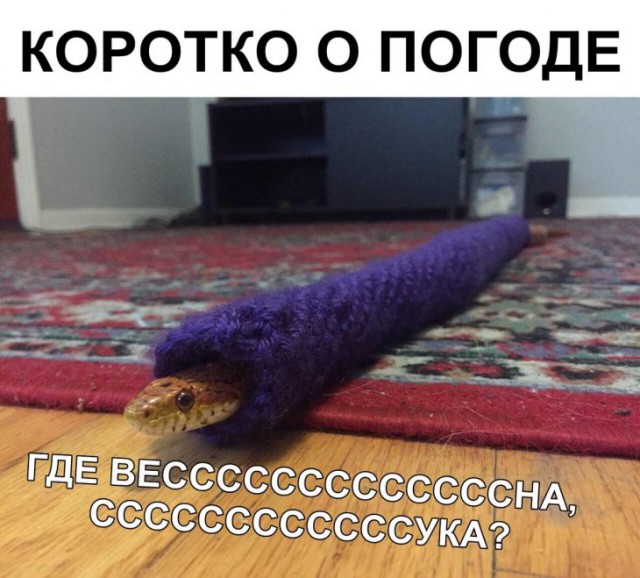 Немного картинок для настроения