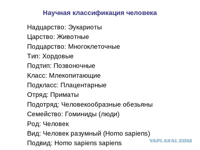 Абсурдная толерантность в фильмах
