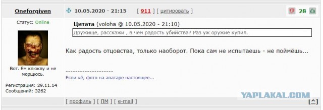 Онжеребенок