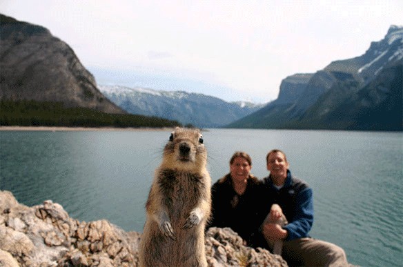 Фотожаба: Цыпа