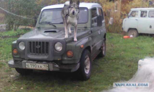 Про охоту