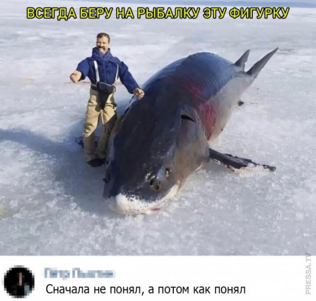 Картинки и мемы для настроения 018