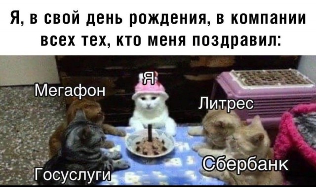 Теперь только этот корм