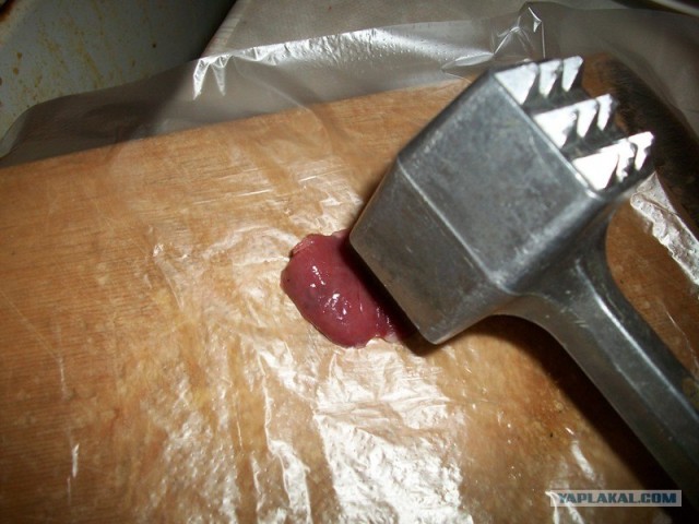 Куриная кардиология