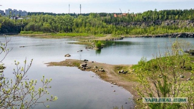 Просим помощи у ЯП-сообщества! Администрация Петрозаводска уничтожает красивейший парк "Каменный Бор"!