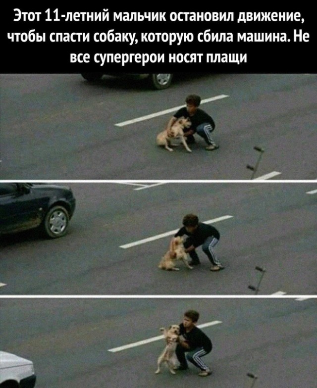 Весёлый полтишок 28.03.22
