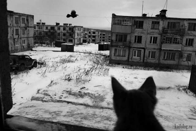 А давайте порассуждать на тему «куда валить» теоретически
