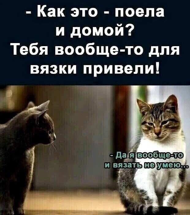 Юмор в картинках и без